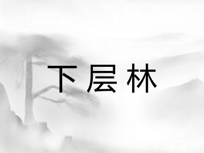 下层林