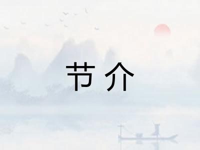 节介