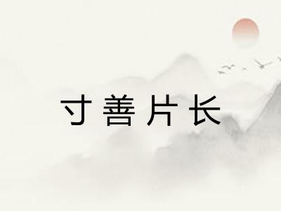 寸善片长