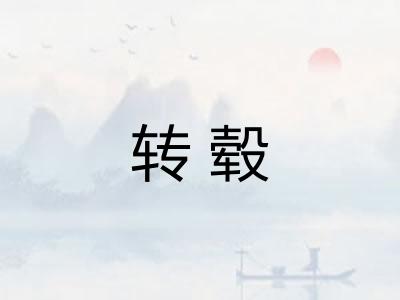 转毂