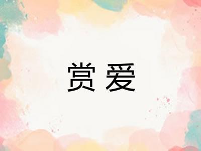 赏爱