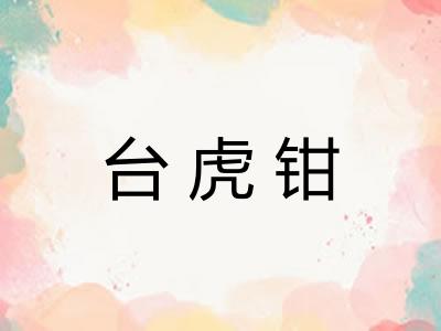 台虎钳