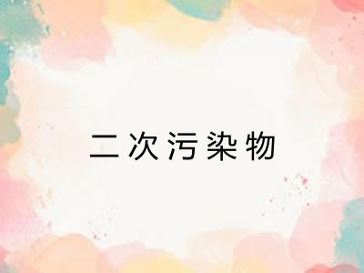 二次污染物 二次污染物