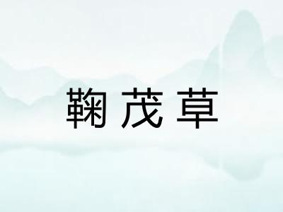 鞠茂草