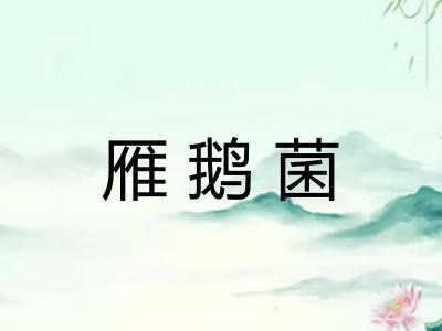 雁鹅菌