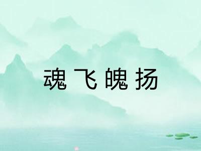 魂飞魄扬 魂飞魄扬