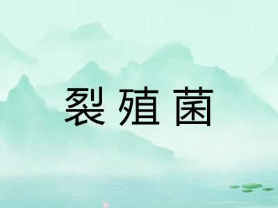裂殖菌