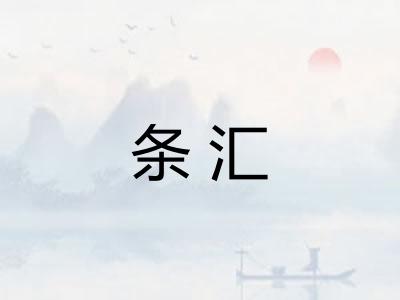 条汇