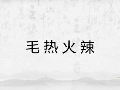 毛热火辣
