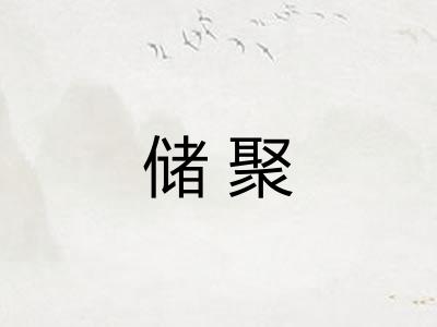 储聚