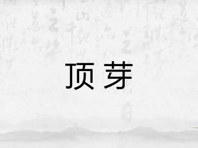 顶芽