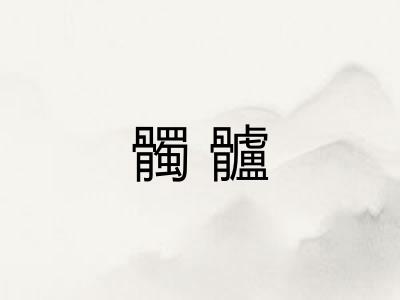 髑髗