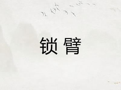 锁臂