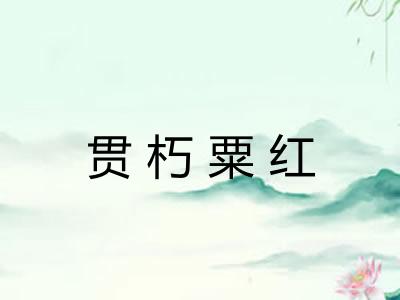 贯朽粟红