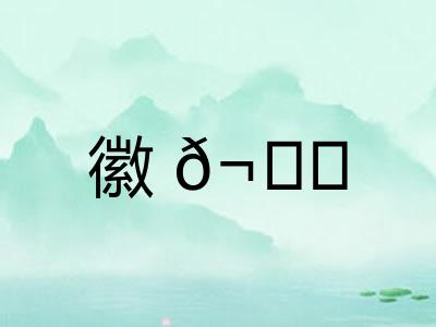徽𬙊