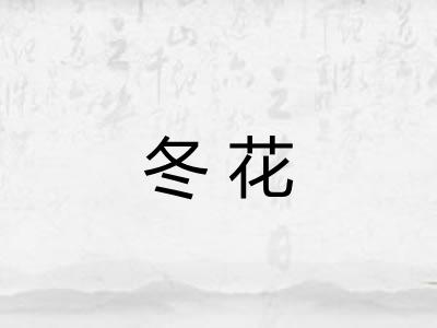 冬花 冬花