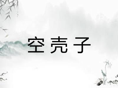 空壳子