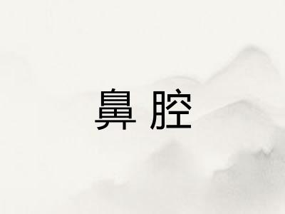 鼻腔