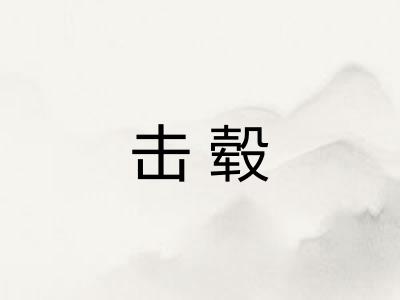 击毂