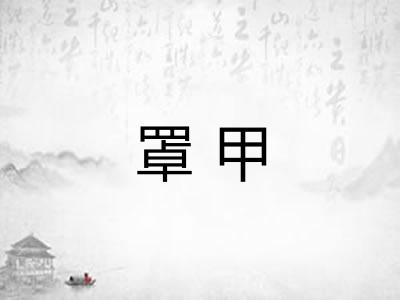 罩甲