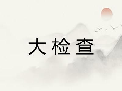 大检查