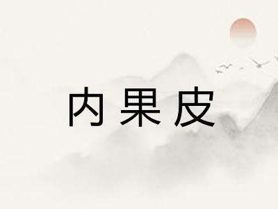 内果皮
