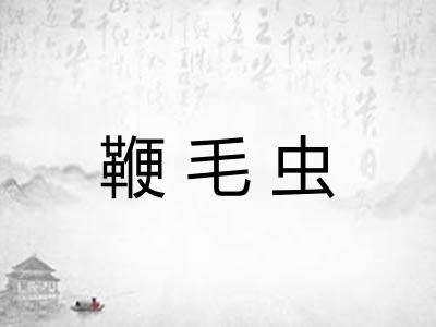 鞭毛虫