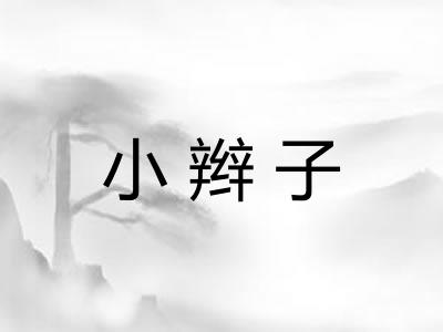 小辫子