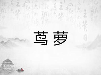 茑萝 茑萝