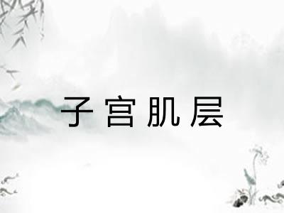 子宫肌层