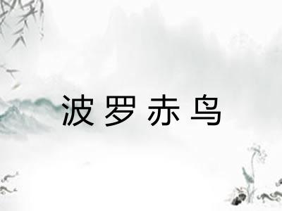 波罗赤鸟