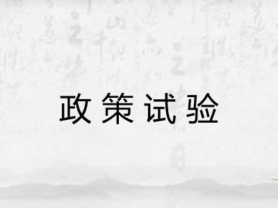 政策试验