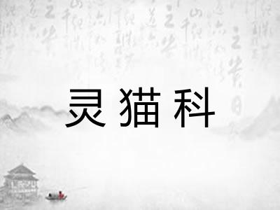 灵猫科 灵猫科