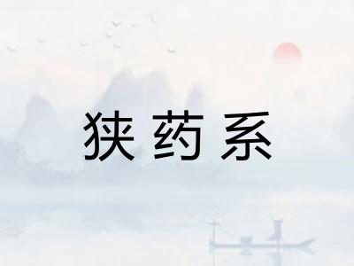 狭药系