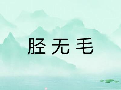 胫无毛