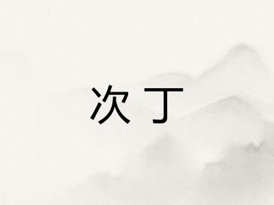 次丁
