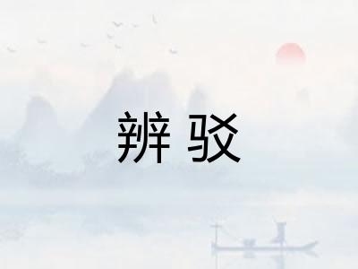 辨驳