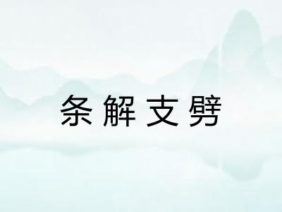 条解支劈