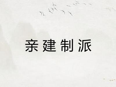 亲建制派