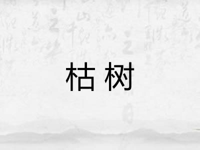 枯树