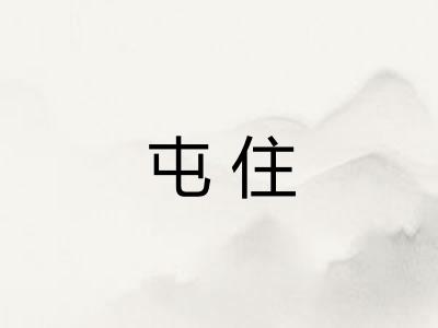 屯住