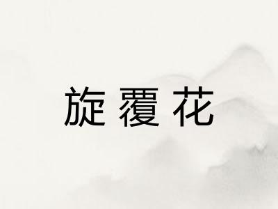 旋覆花 旋覆花
