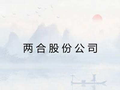 两合股份公司