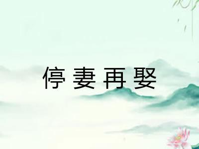 停妻再娶