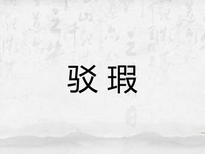 驳瑕