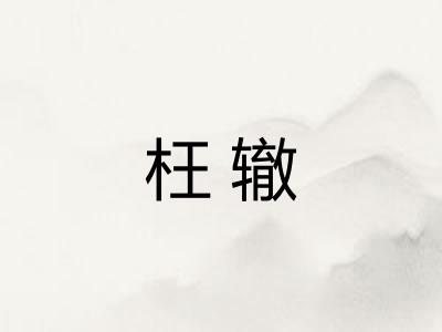 枉辙