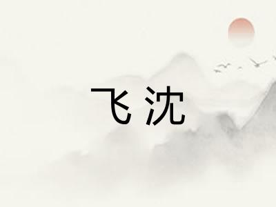 飞沈
