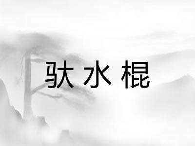 驮水棍