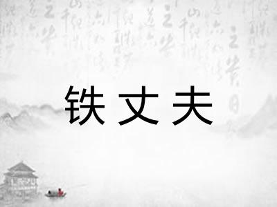 铁丈夫
