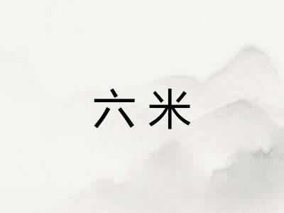 六米